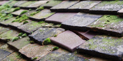 Witney roof repair costs